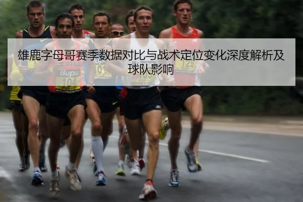 雄鹿字母哥赛季数据对比与战术定位变化深度解析及球队影响