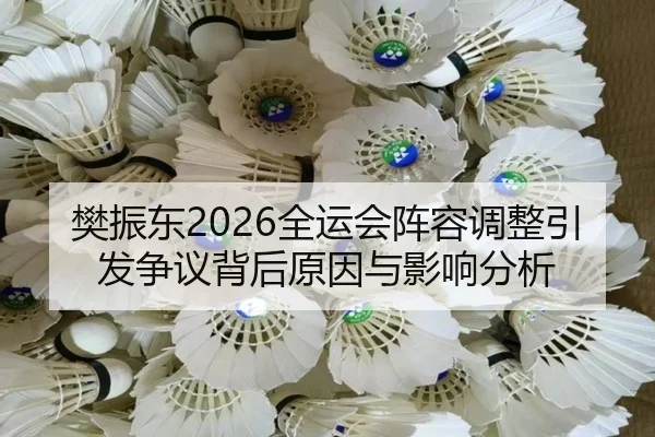 樊振东2026全运会阵容调整引发争议背后原因与影响分析