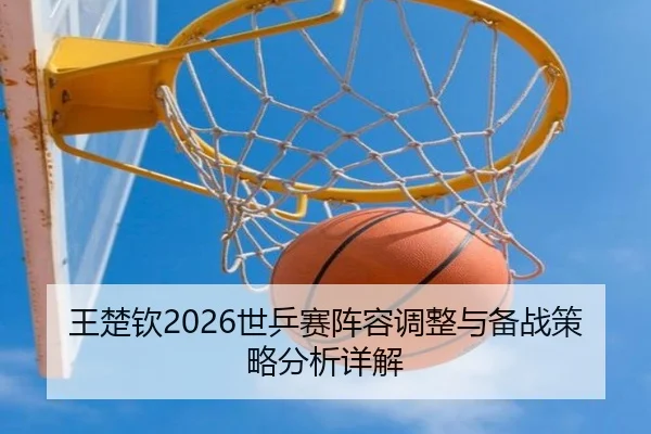 王楚钦2026世乒赛阵容调整与备战策略分析详解